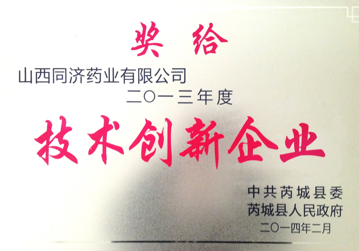 13年度技術(shù)創(chuàng)新