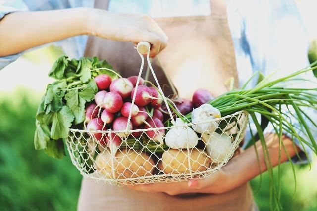 Unveiling the Five Golden Rules of Healthy Eating