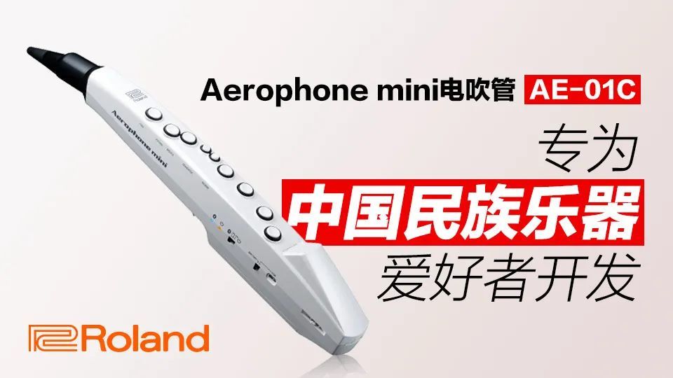 羅蘭電吹管