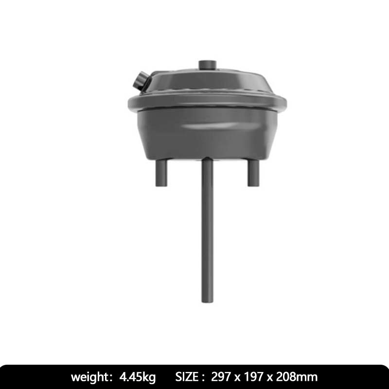 Brake Chamber T30 4231079000/KN36300/4231070500