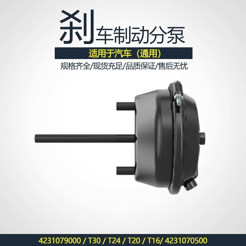 刹车制动分泵4231079000 