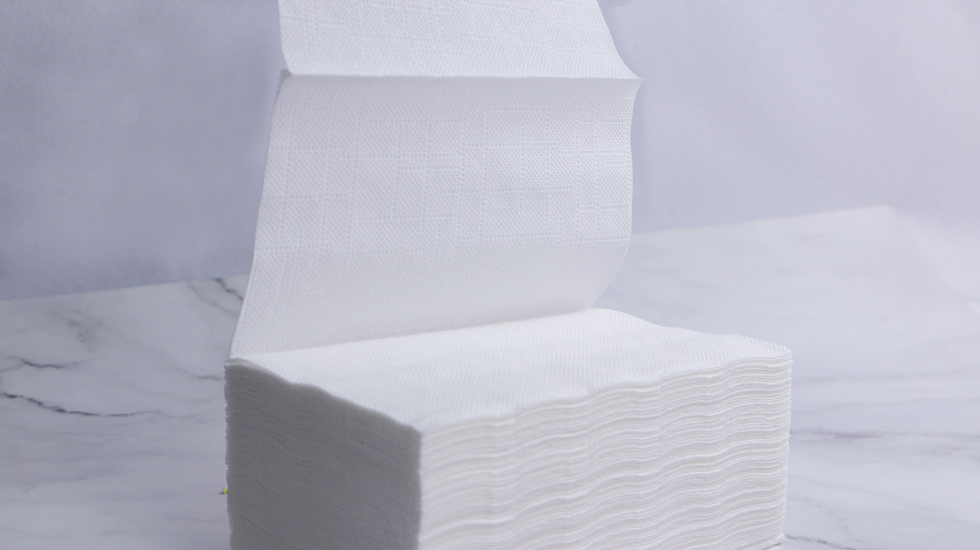 White Interfold 21*16cm 2Ply Dispenser Napkins White Interfold 21*16cm 2Ply Dispenser Napkins