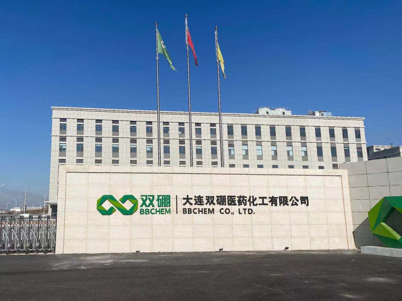 大连双硼医药化工项目