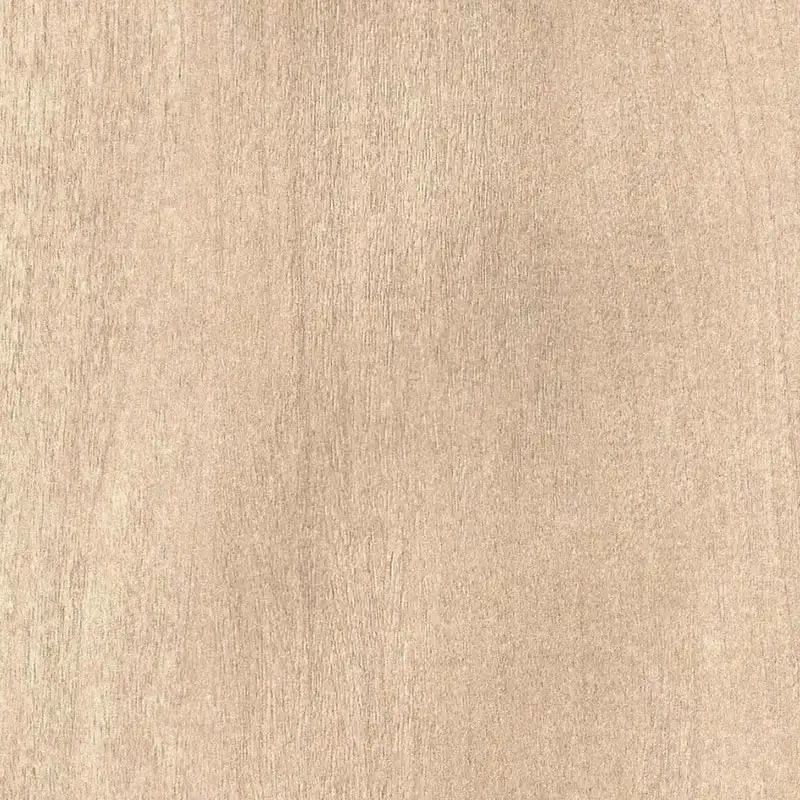 Color Series-221123