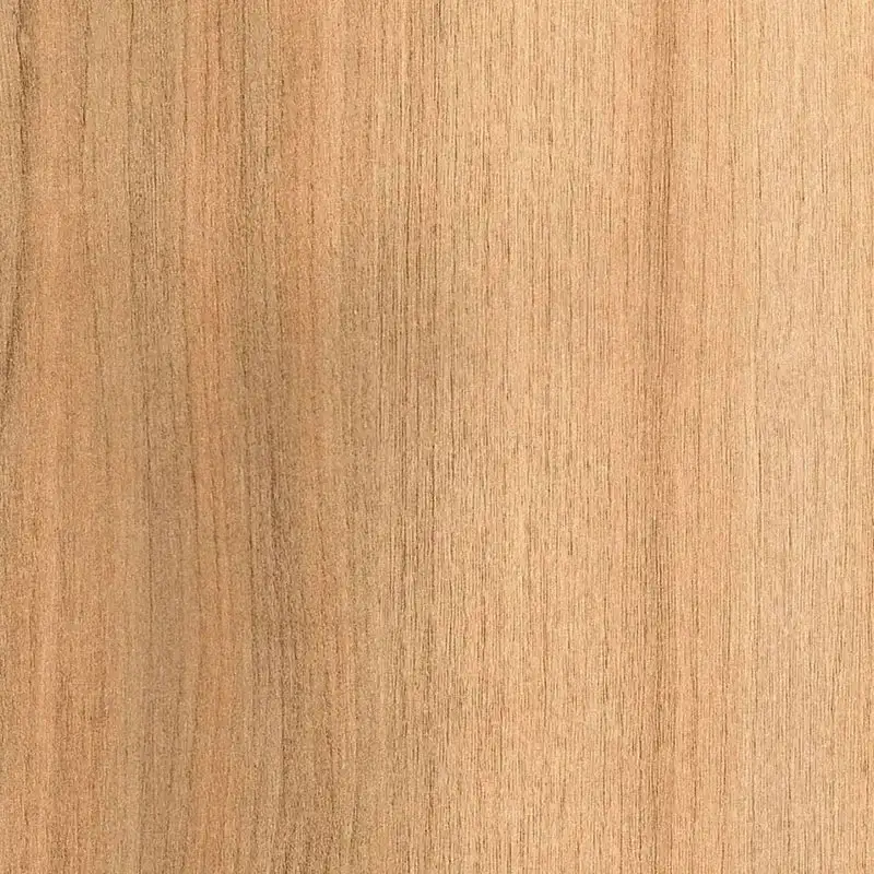 Color Series-221120
