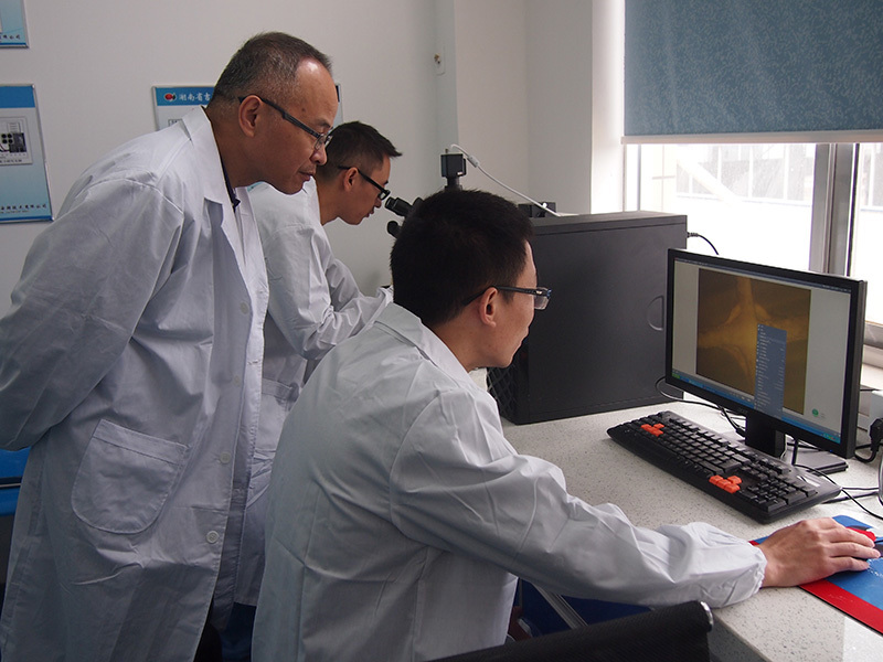 Catalyst Layer Micro-Imaging