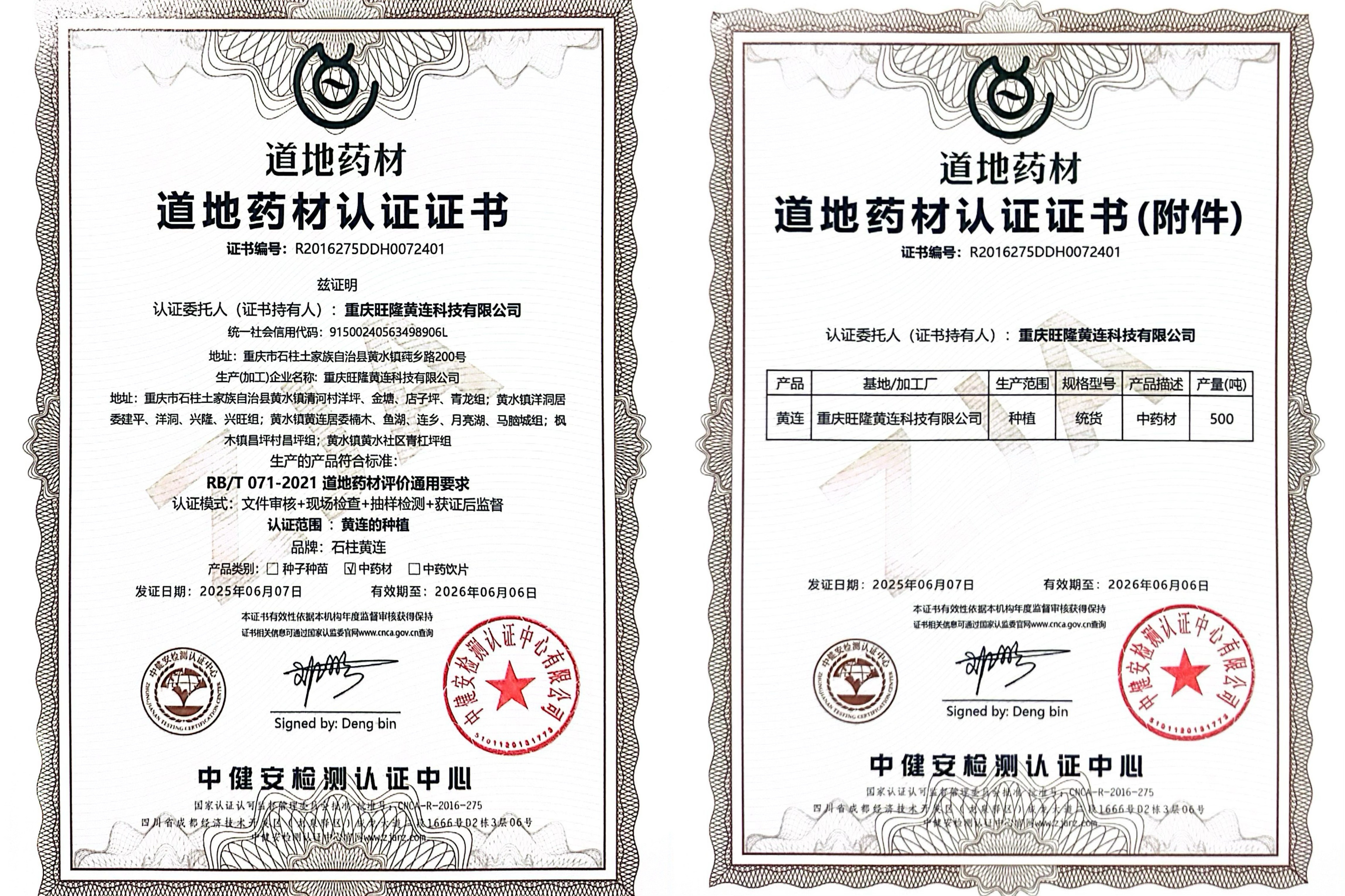 Authentic Certification Certificate
