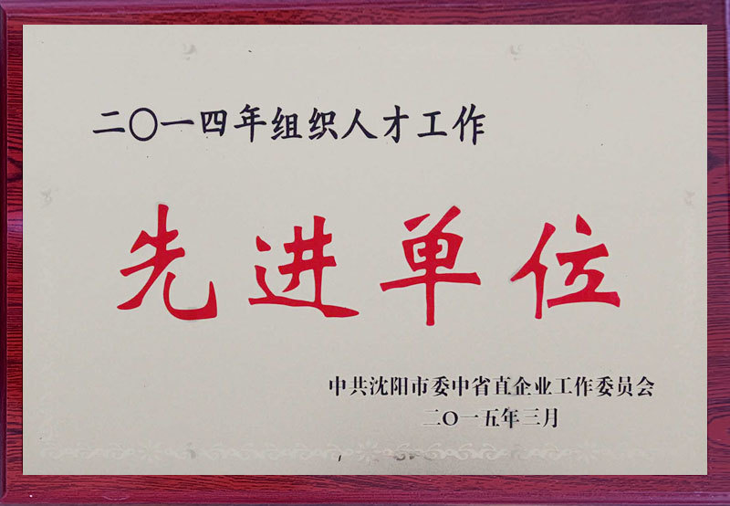 Advanced Unit in Organization Talent Work