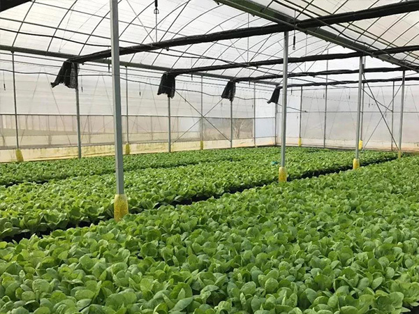 化肥企业前三季度业绩翻番，保供措施落地四季度肥价承压