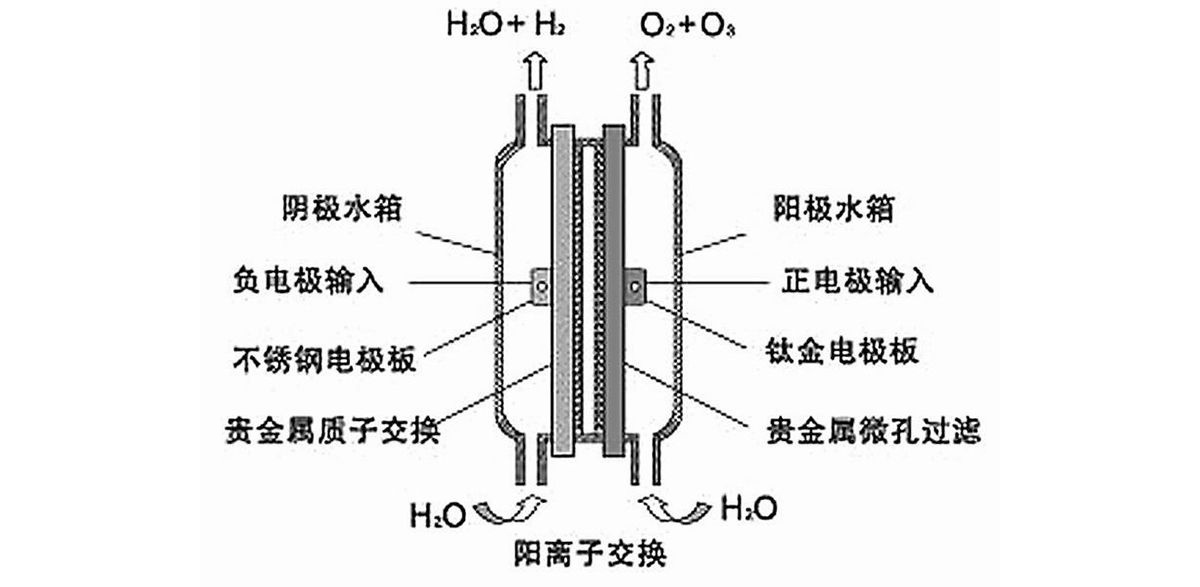 图1. PEM电极