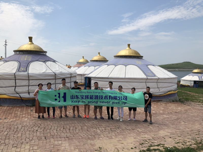 Shandong Baovi Energy Technology co., LTD.