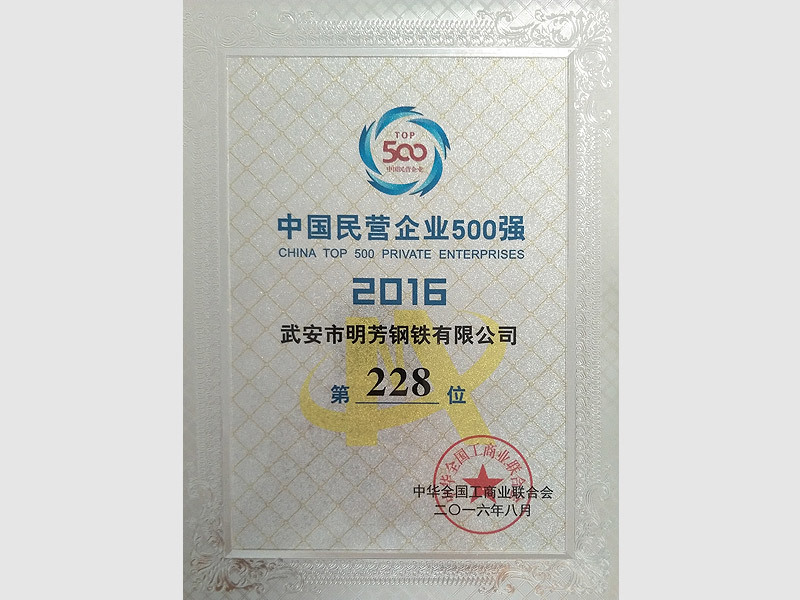 企业百强