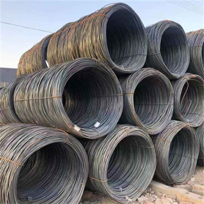 Spiral snail  Rebar