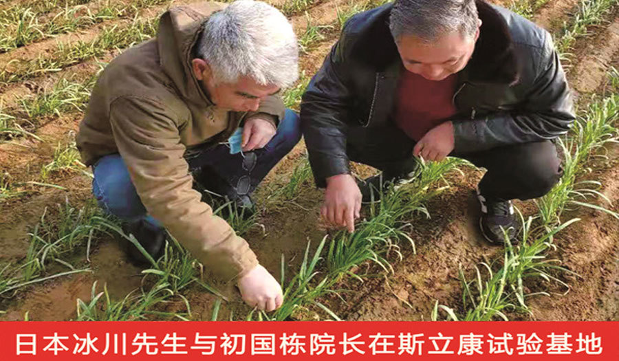 科研实力