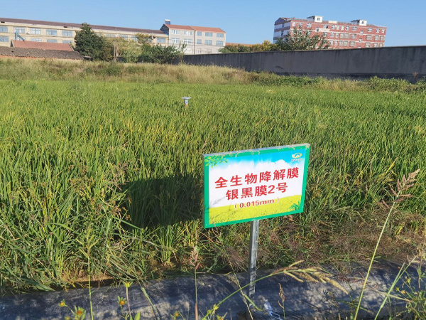 湖北省孝感县 湖北省孝感县