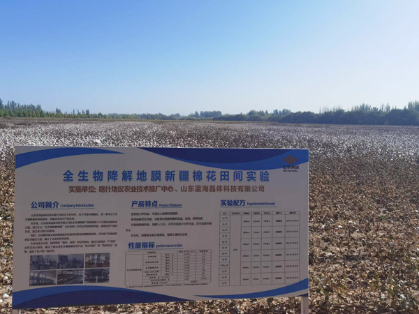 新疆喀什地区-棉花 新疆喀什地区-棉花