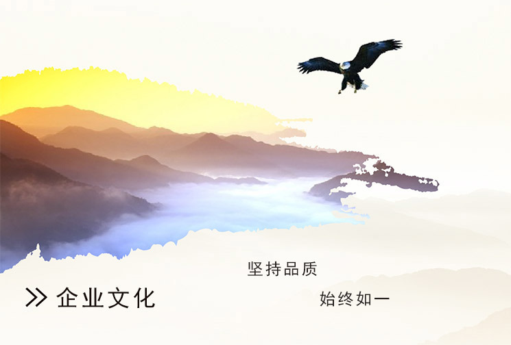 企业文化