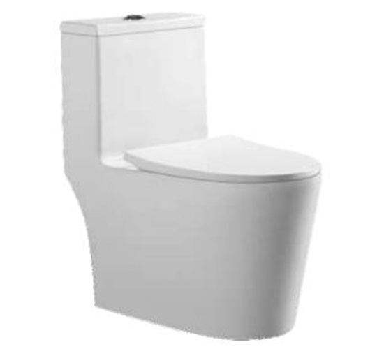 ZB-3909 Ordinary Toilet/Seater