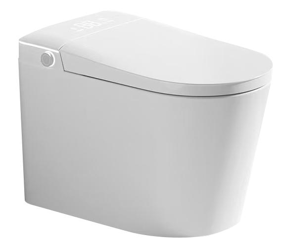 ZN-116 Smart Toilet
