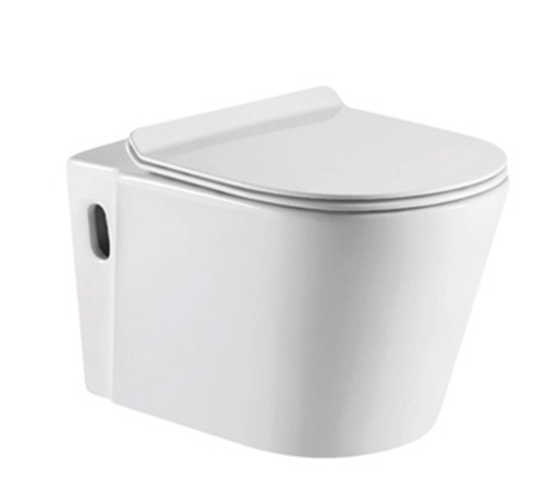 ZB-3443A Ordinary Toilet/Seater