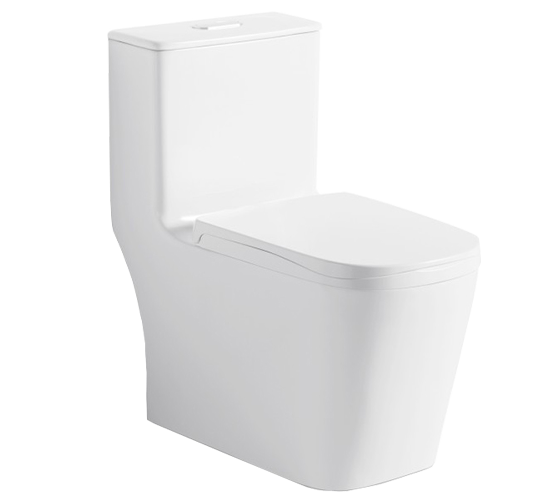 ZB-3919 Ordinary Toilet/Seater