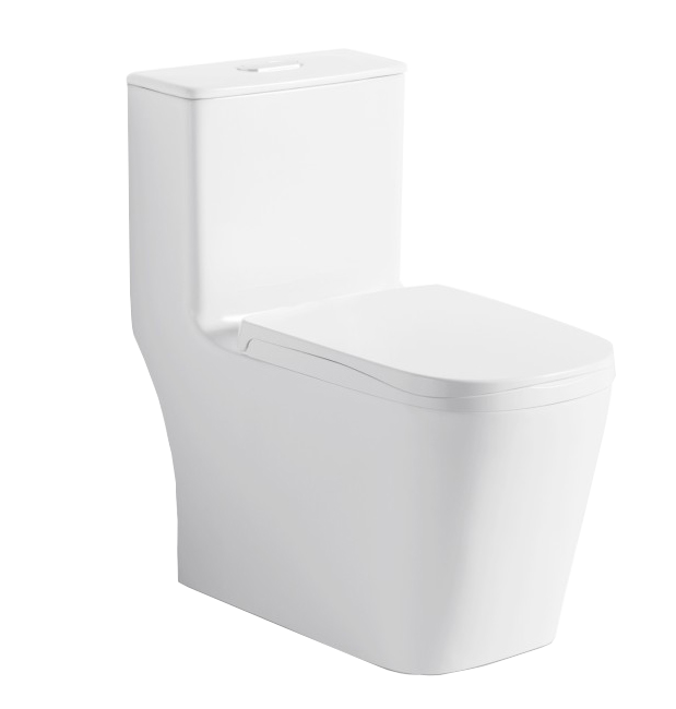 ZB-3919 Ordinary Toilet/Seater