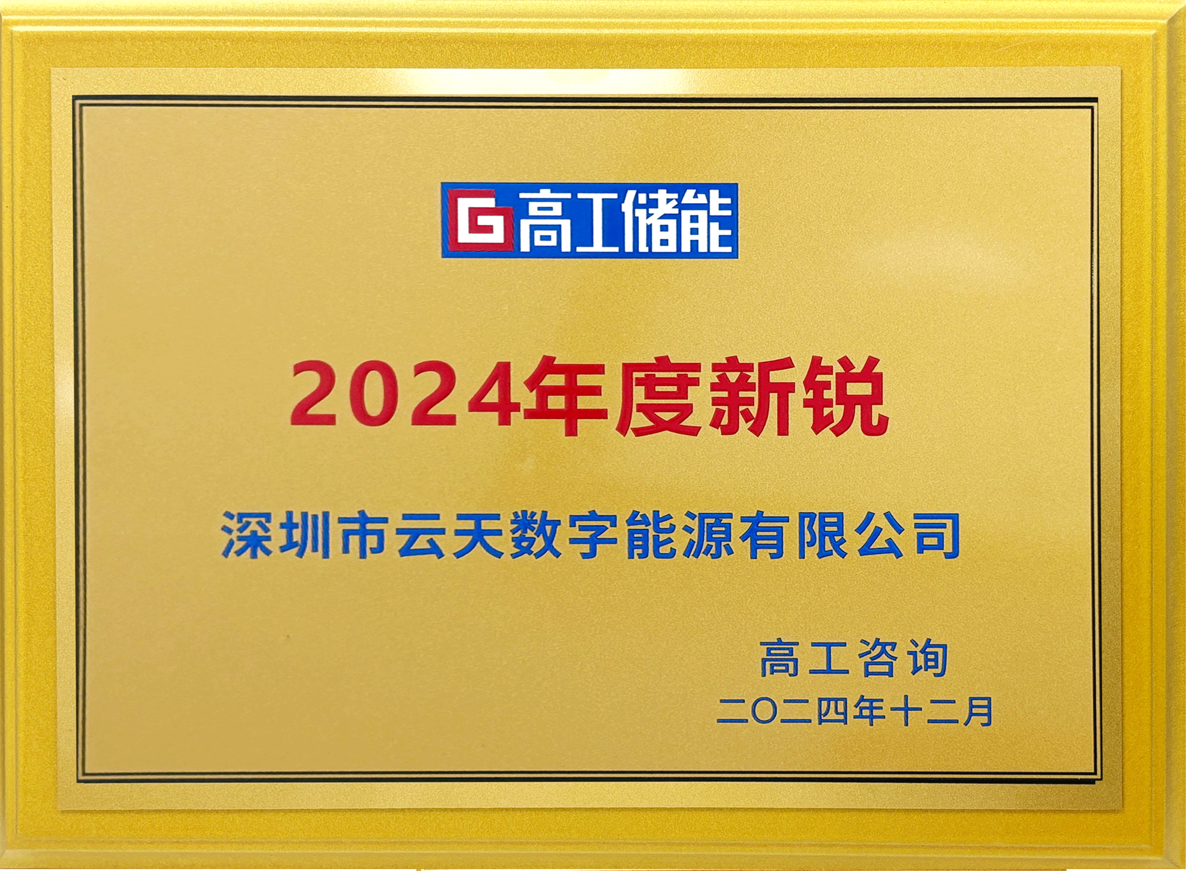 高工储能2024年度新锐 高工储能2024年度新锐