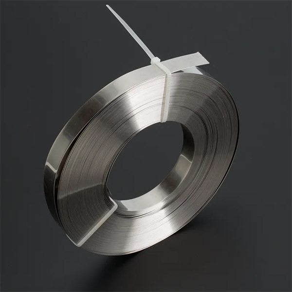 Stainless Steel Strip