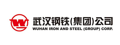 Wuhan Iron and Steel (Group) Co., Ltd Wuhan Iron and Steel (Group) Co., Ltd