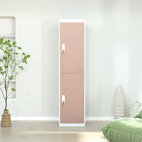 Two Door Locker