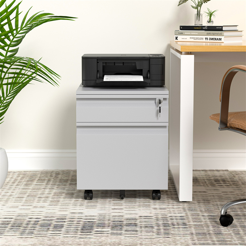 Fully Assembled 2 Drawer File Cabinet, Under Desk for Legal/Letter/A4 File