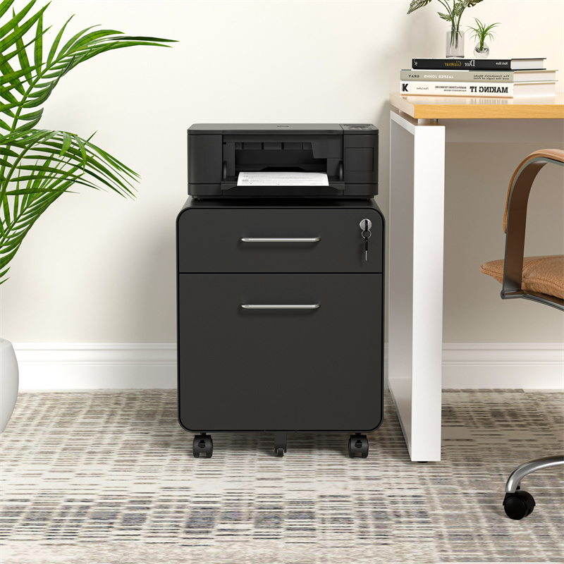 Movable Office 2 Drawer Metal File Cabinet