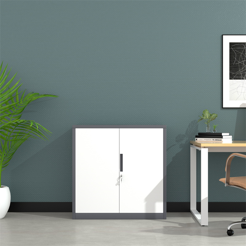 Double 2 Swing Doors Small Metal File Cabinet