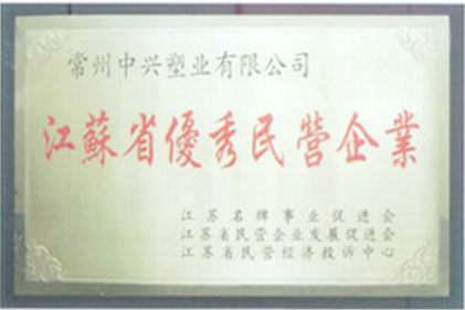 江苏省优秀民营企业
