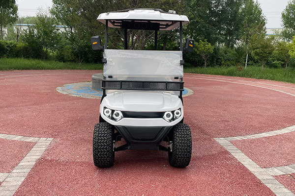 Golf Cart Type E 1 row 2 seats