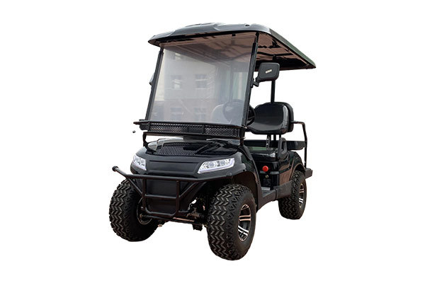 Golf Cart New folding seats 1+1 row 4 seats