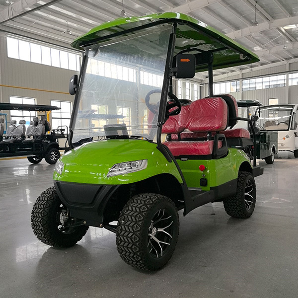 Golf Cart Type D 2+2 seats