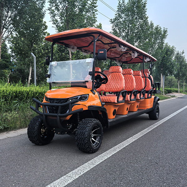 C-type 6+2 golf cart