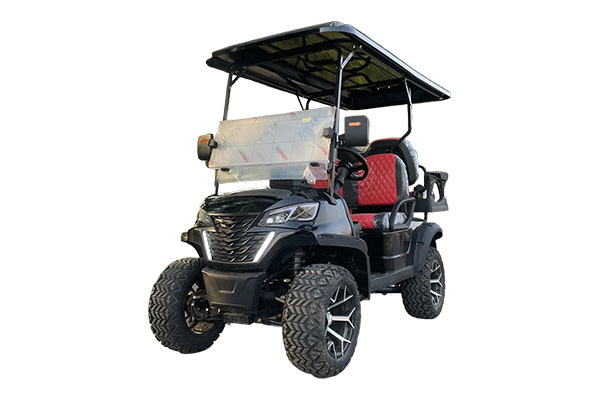 Golf cart D type 4 seats