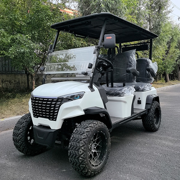 Golf Cart Type F High-end seats