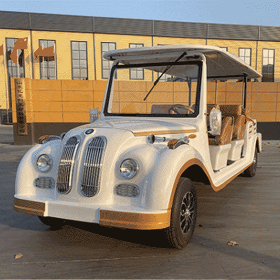 Classic car 4 rows 11 seats BM model