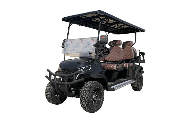 Golf Cart Type D 6 Seats
