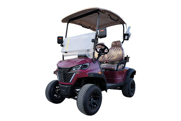 Golf Cart Type C 2 Seats