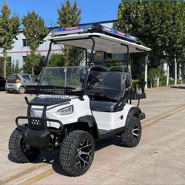 Golf Cart Type B 2 Seaters