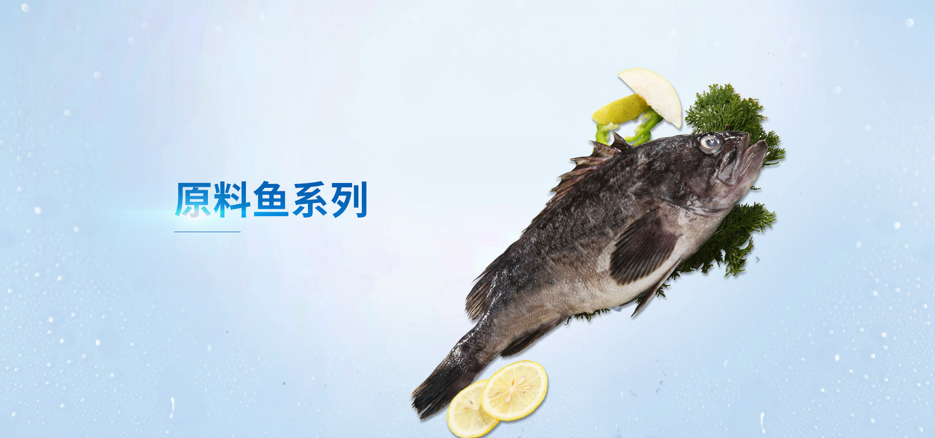 海都海洋食品