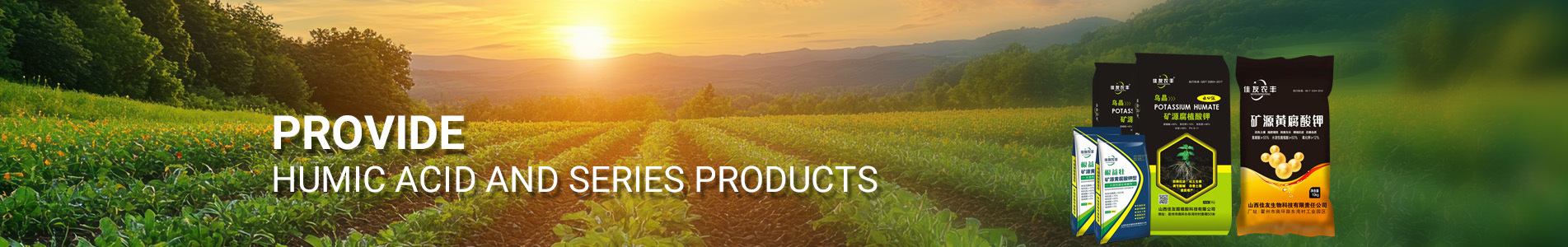 Products