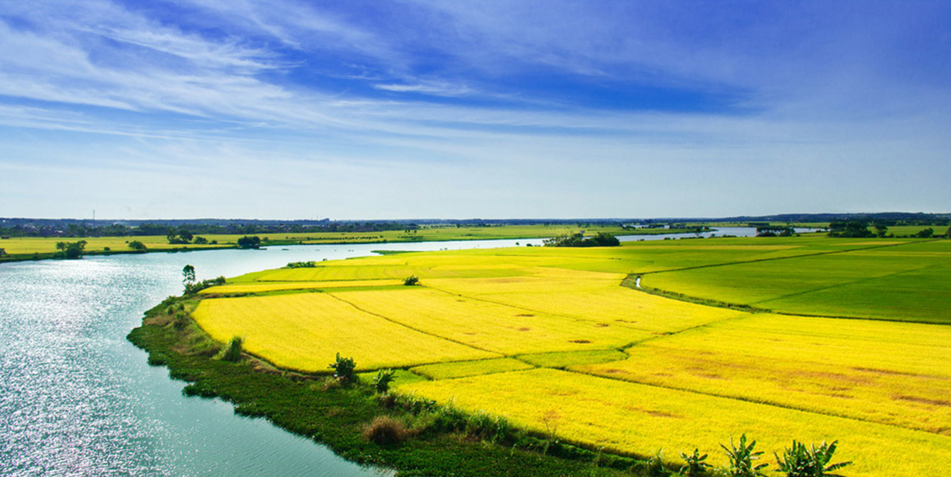 How Plant Growth Regulators Can Transform Your Farming Practices