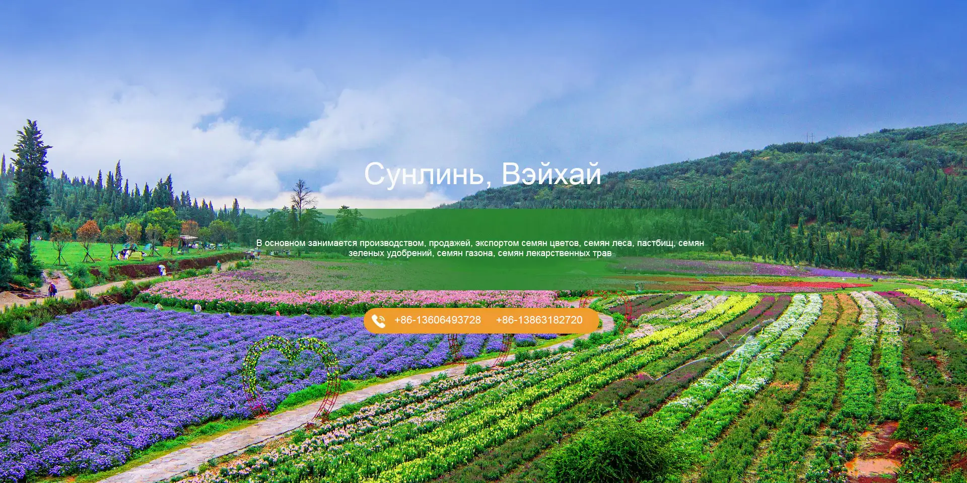 Суньлинь Трейд