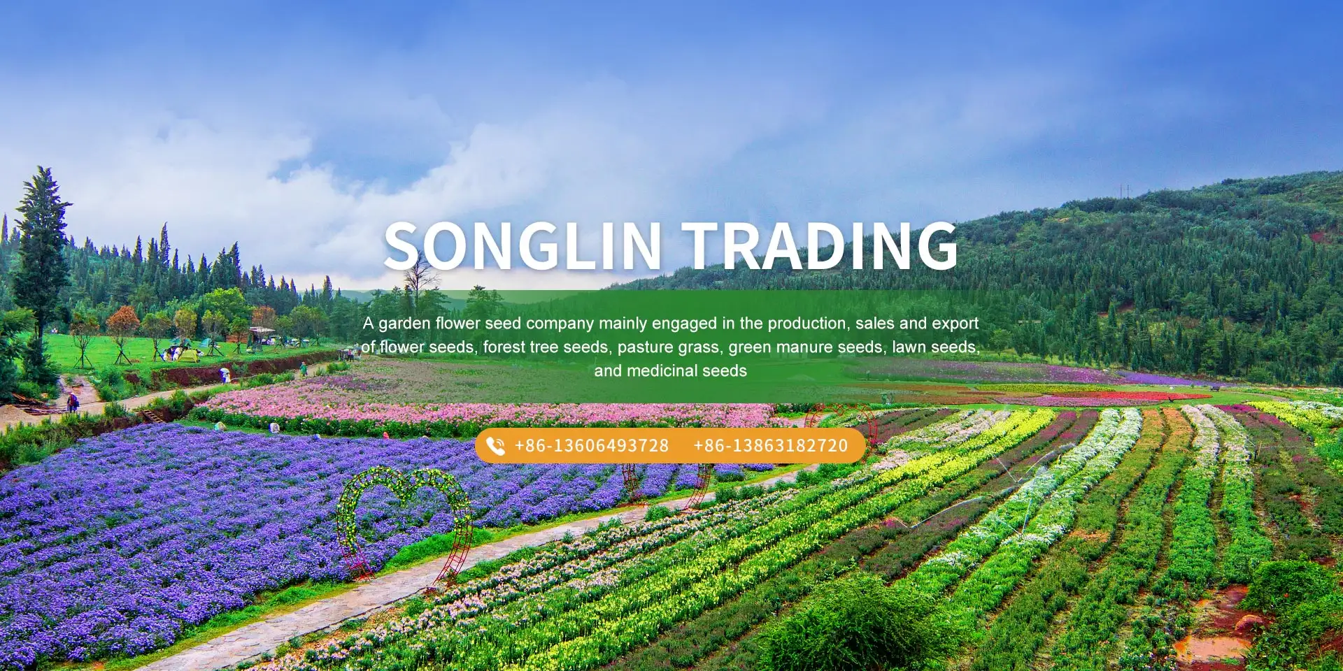 Songlin Trading