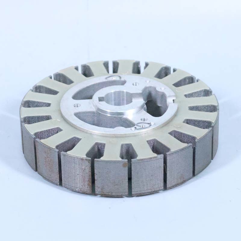 CXK Changzhou Factory in Jiangsu Specializing in Customized Stamping Electrical Motor Stator Rotor Core